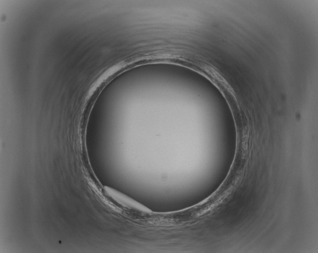 X0000082690789200702091656