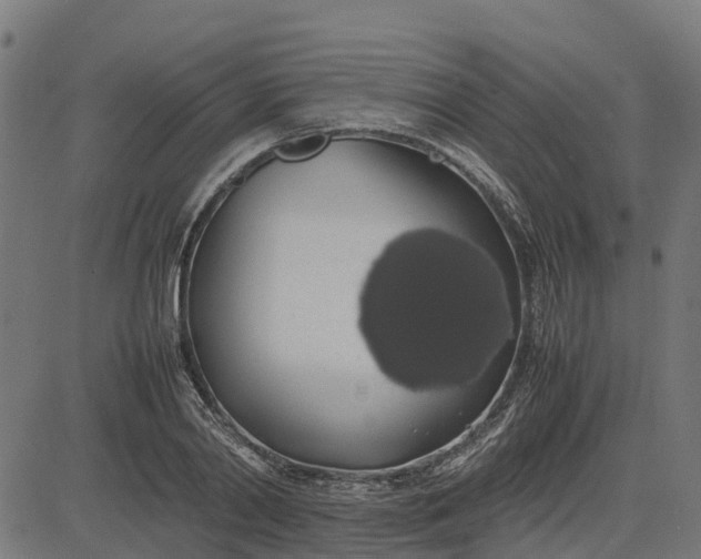 X0000082690790200702091656