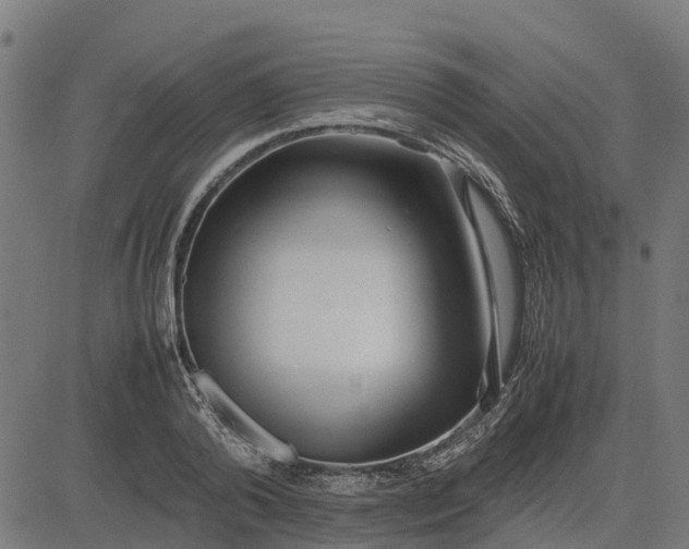 X0000082690792200702091656