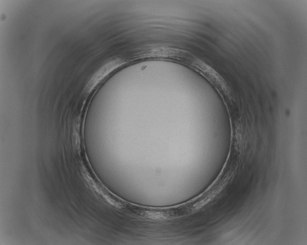 X0000082690794200702091656