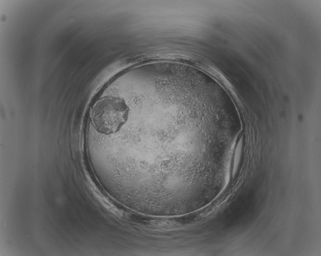 X0000082690795200702091656