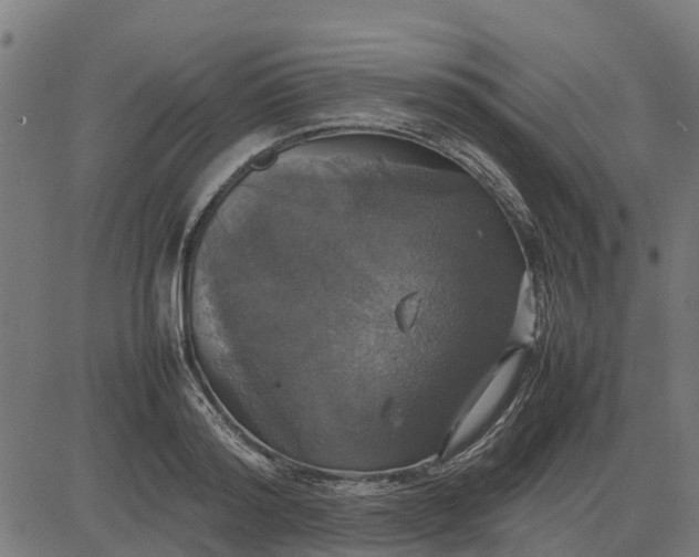 X0000082690796200702091656