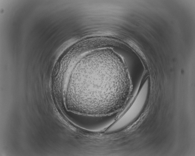 X0000082690797200702091656