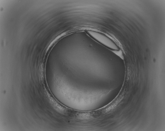 X0000082690798200702091656