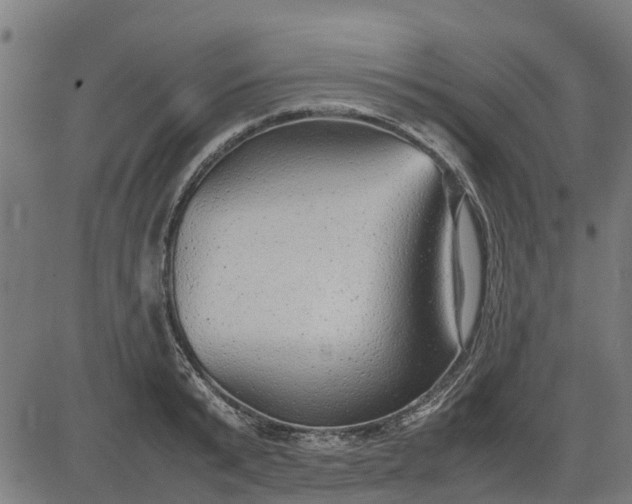 X0000082690799200702091656