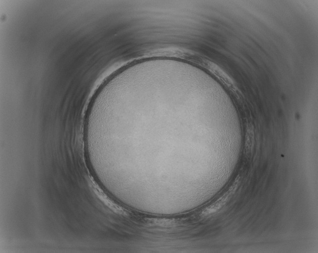 X0000082690800200702091656