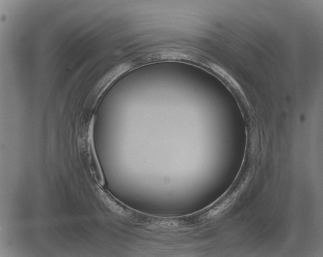 X0000082690801200702091656