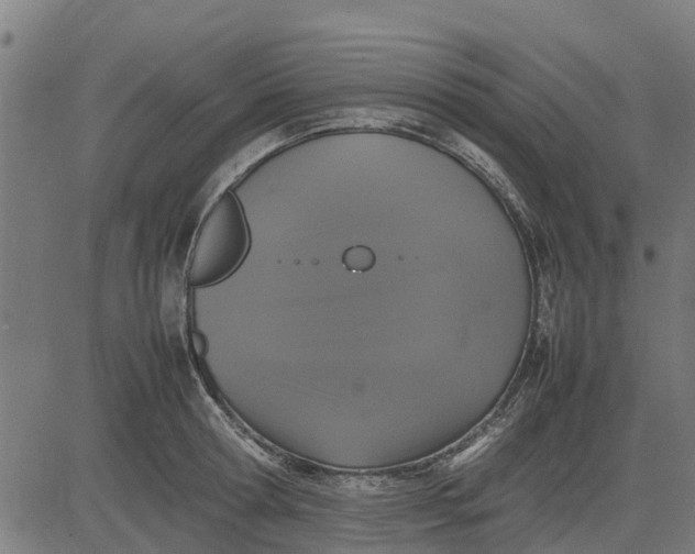 X0000082690802200702091656