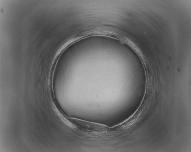 X0000082690803200702091656