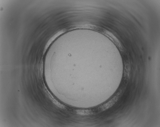 X0000082690804200702091656