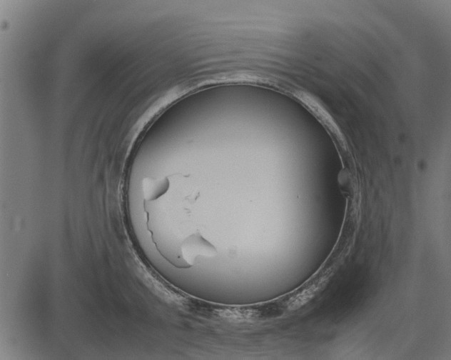 X0000082690805200702091656