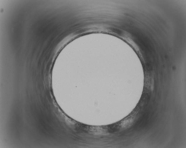 X0000082690807200702091656