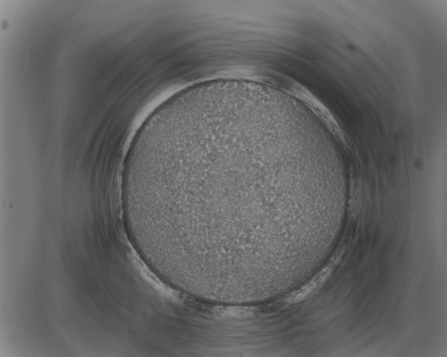 X0000082690808200702091656