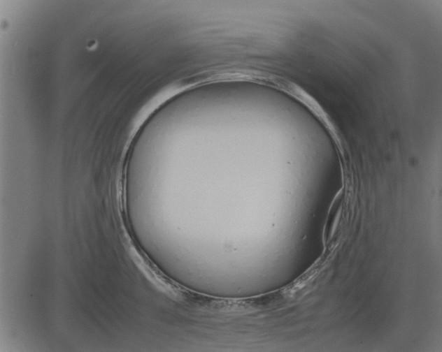 X0000082690811200702091656