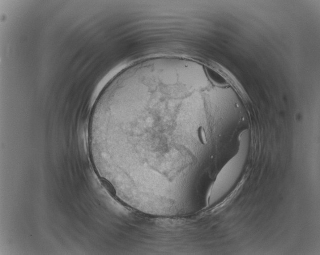 X0000082690812200702091656