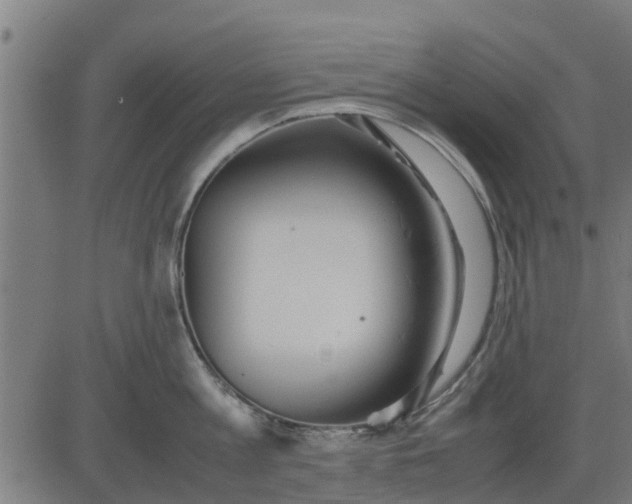 X0000082690813200702091656