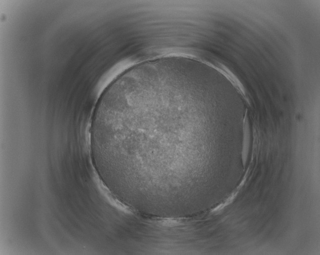 X0000082690814200702091656