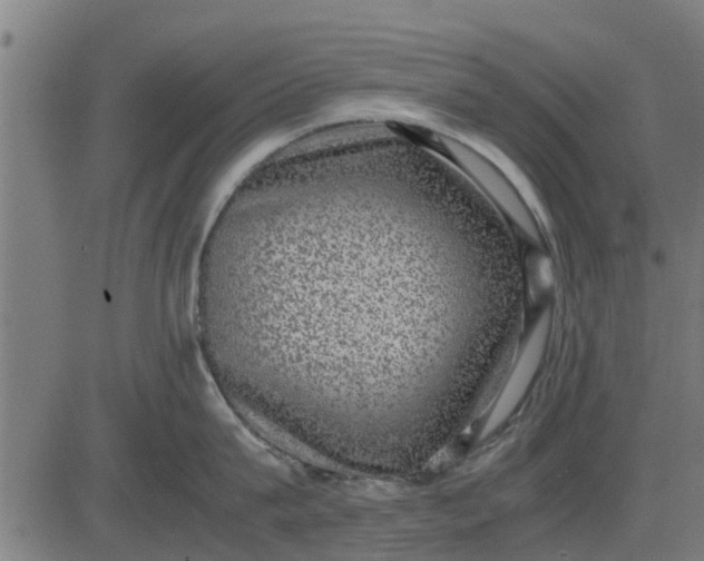 X0000082690815200702091656