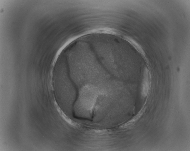 X0000082690816200702091656