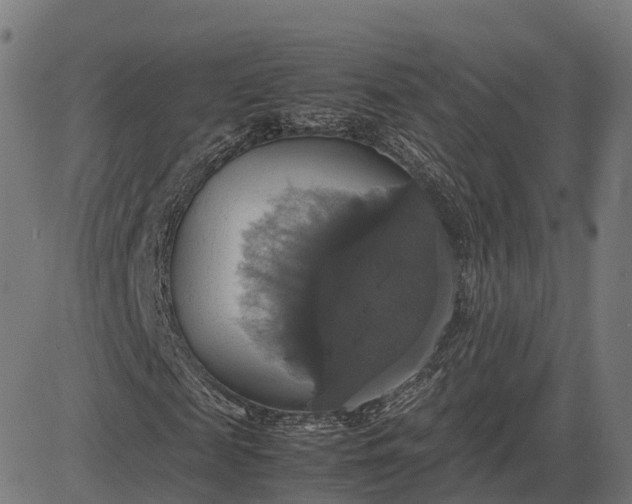 X0000082690817200702091655