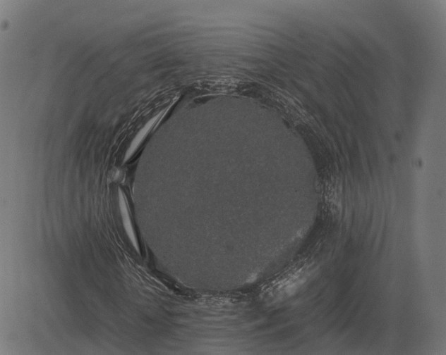 X0000082690818200702091655