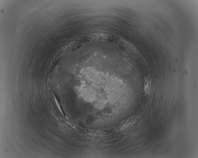 X0000082690819200702091655