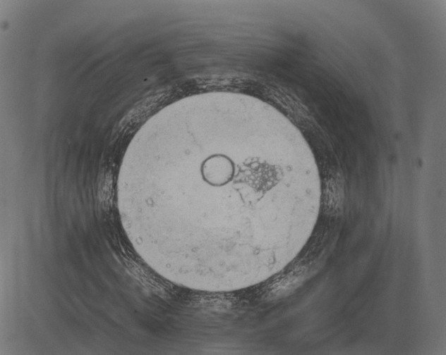 X0000082690820200702091655