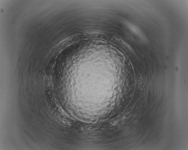 X0000082690821200702091655