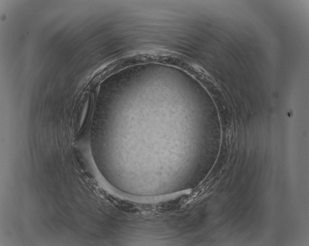 X0000082690822200702091655