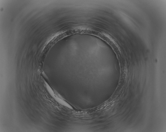 X0000082690823200702091655