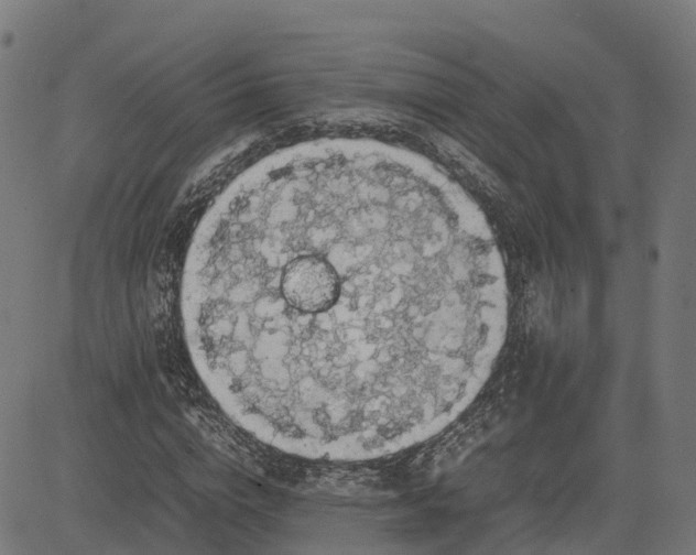 X0000082690824200702091655