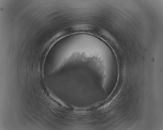 X0000082690825200702091655