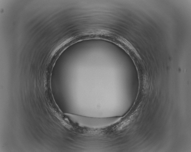 X0000082690826200702091655