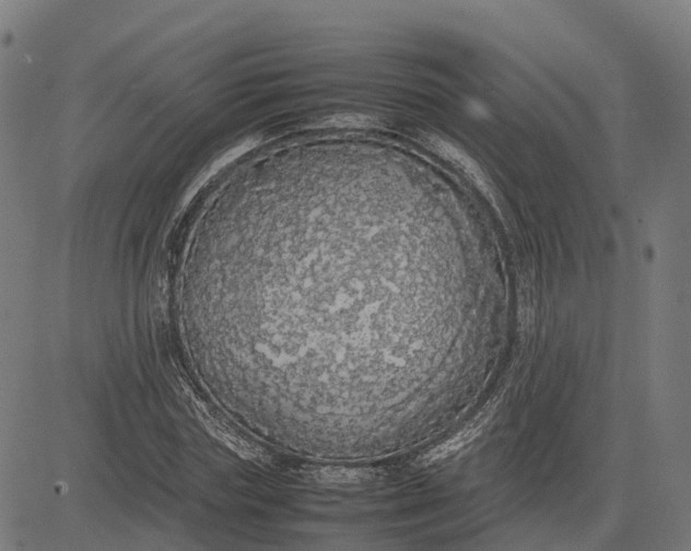 X0000082690827200702091655