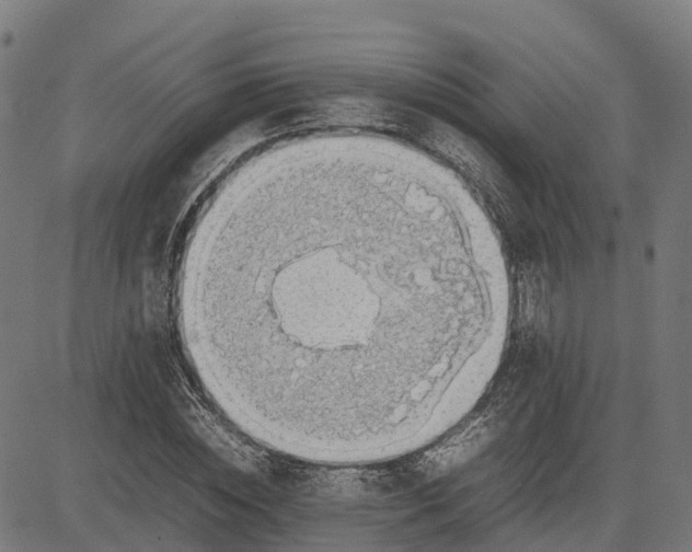 X0000082690828200702091655