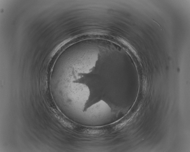 X0000082690829200702091655