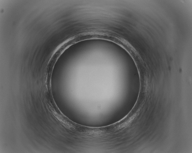 X0000082690830200702091655