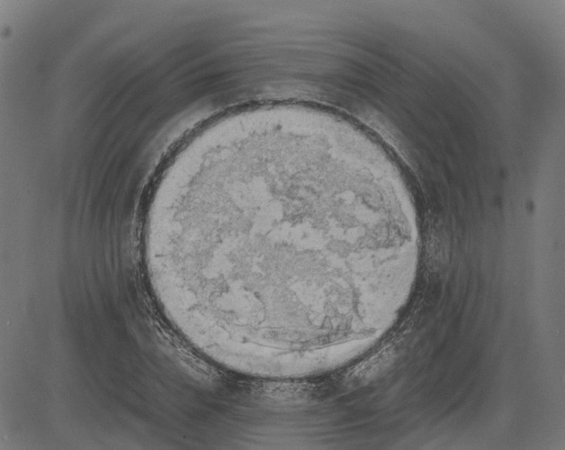 X0000082690832200702091655