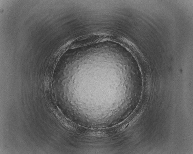 X0000082690833200702091655