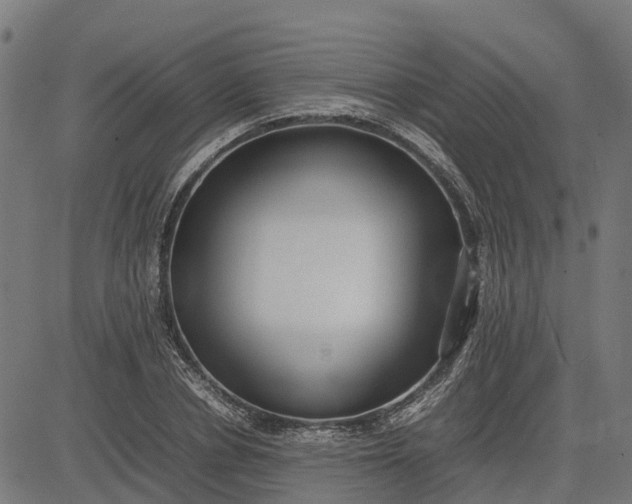 X0000082690834200702091655