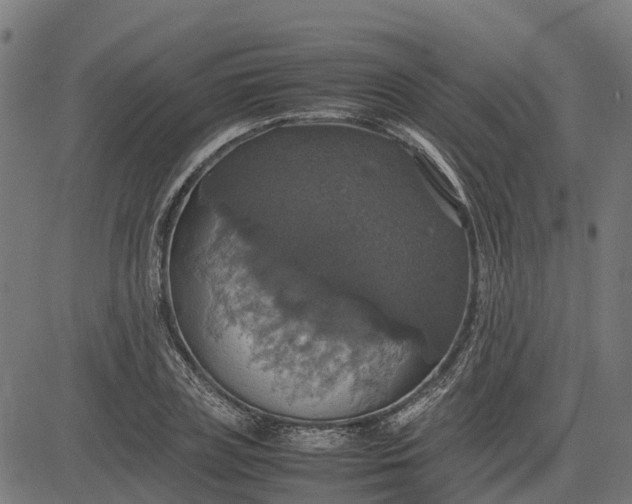 X0000082690835200702091655