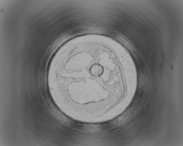 X0000082690836200702091655