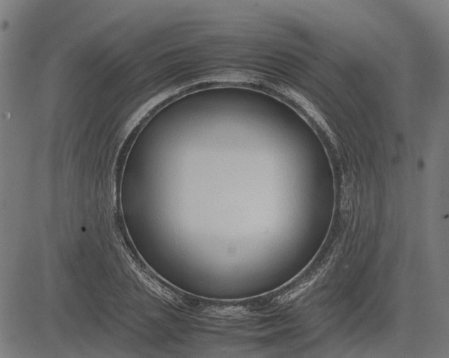 X0000082690837200702091655