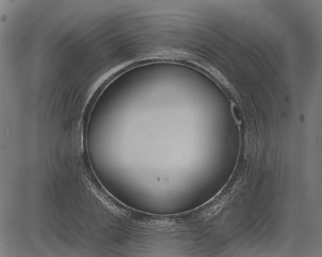 X0000082690838200702091655