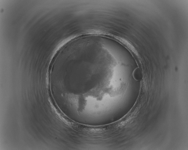 X0000082690839200702091655