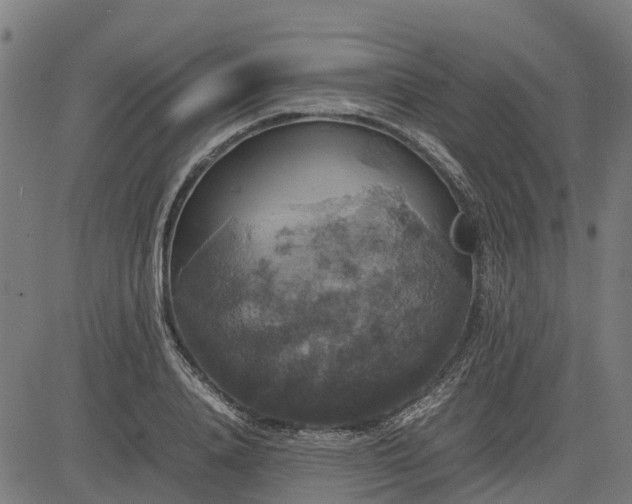 X0000082690840200702091655