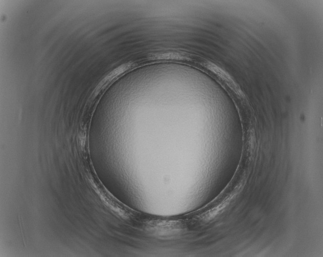 X0000082690841200702091655