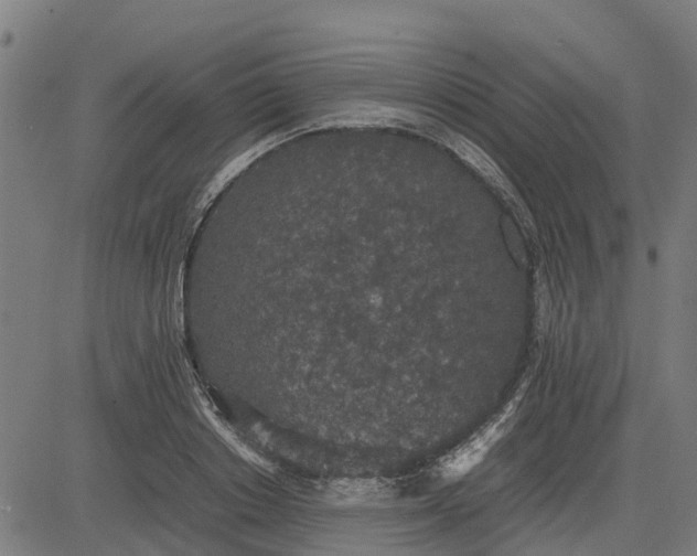 X0000082690842200702091655