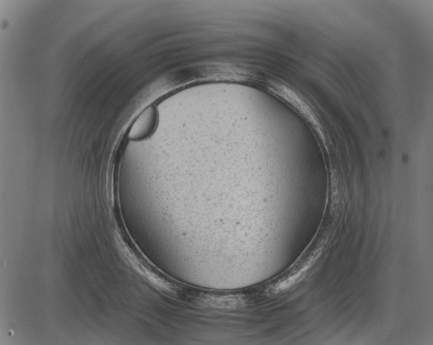 X0000082690843200702091655