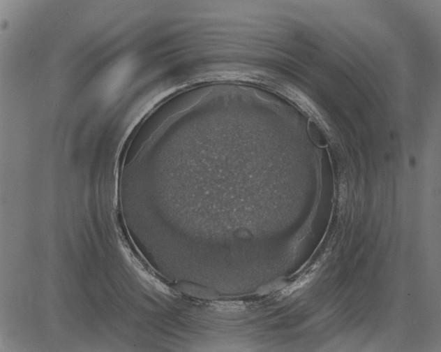 X0000082690844200702091655